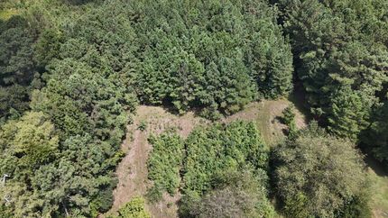 Undeveloped Land for sale in Robeson County, North Carolina