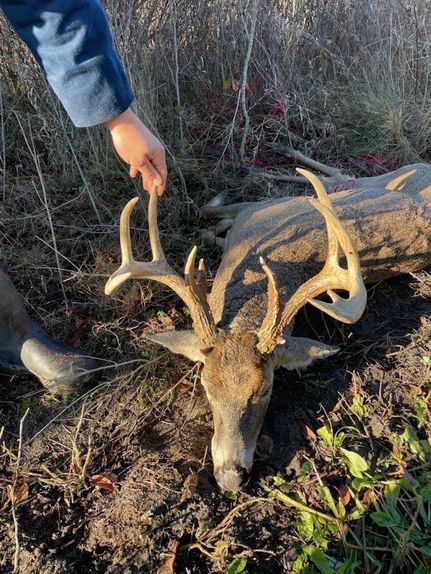 Ranch Property in Gladwin County, Michigan