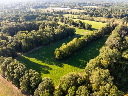 Farm Property in Scott County, Mississippi