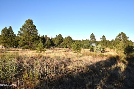 Undeveloped Land in Coconino County, Arizona