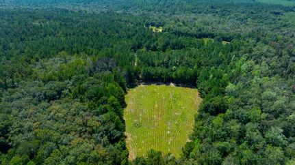 Property for sale in Taylor County, Georgia