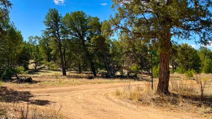 Farm Property for sale in Cibola County, New Mexico