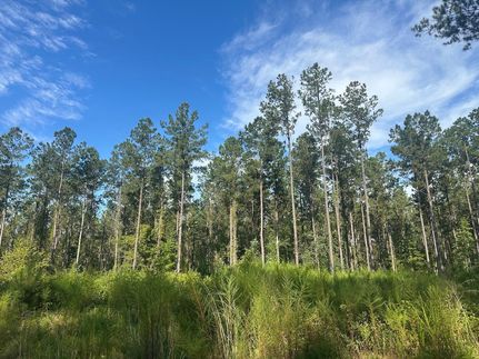 Recreational Property for sale in Butler County, Alabama