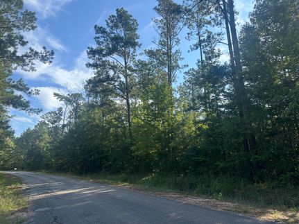 Hunting Land for sale in Butler County, Alabama
