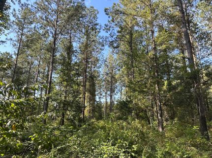 Recreational Property for sale in Butler County, Alabama