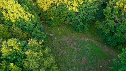 Farm Property for sale in Marion County, Texas