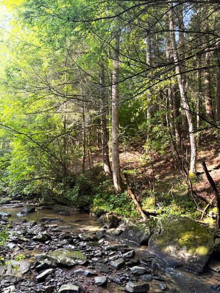 Residential Property for sale in Scott County, Tennessee