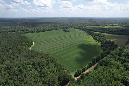 Undeveloped Land for sale in Attala County, Mississippi