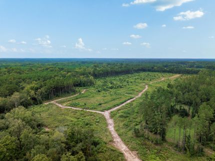Timberland Property for sale in Angelina County, Texas
