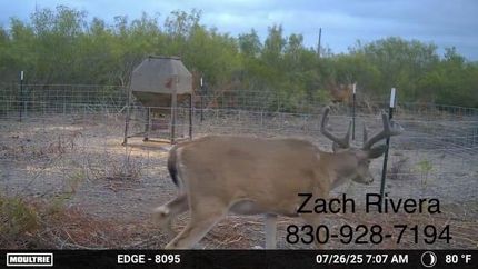 Ranch Property for sale in Duval County, Texas