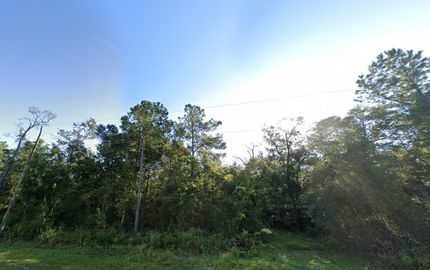 Undeveloped Land for sale in Wakulla County, Florida