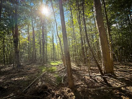 Property for sale in Tompkins County, New York