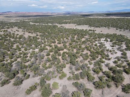 Undeveloped Land for sale in McKinley County, New Mexico