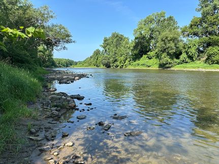 Undeveloped Land for sale in Allegany County, New York
