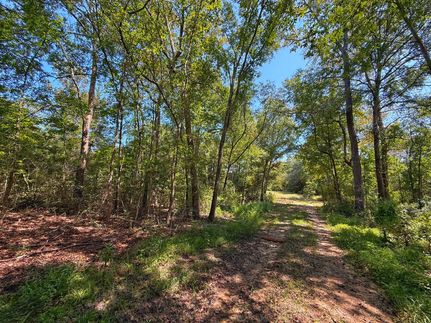 Residential Property for sale in Leon County, Texas