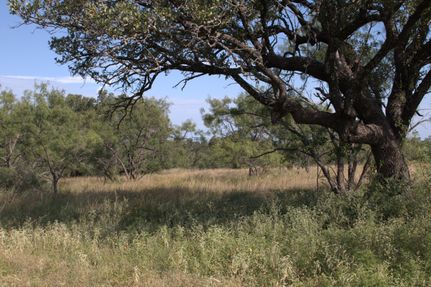 Hunting Land for sale in McCulloch County, Texas