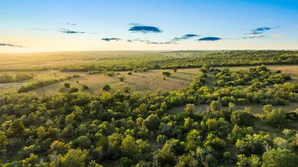 Undeveloped Land for sale in Caldwell County, Texas