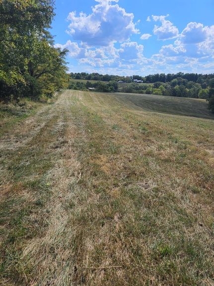 Property for sale in Nicholas County, Kentucky