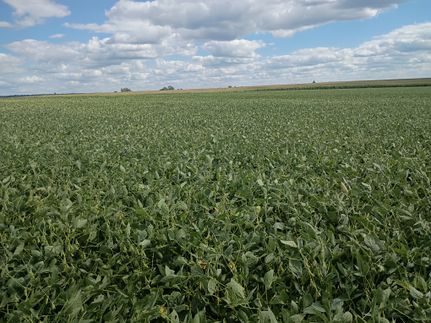 Property for sale in Schuyler County, Illinois