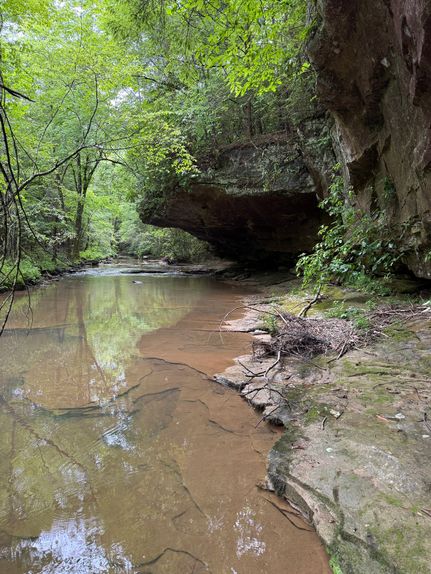 Residential Property for sale in Scott County, Tennessee