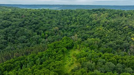 Undeveloped Land for sale in Buffalo County, Wisconsin