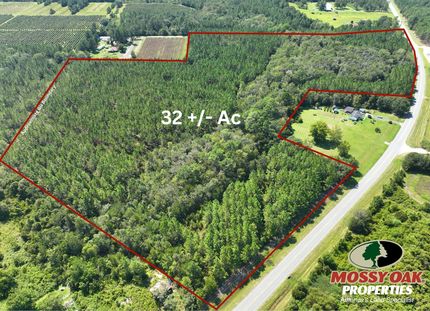 Timberland Property for sale in Pierce County, Georgia