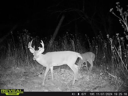 Hunting Land for sale in Cumberland County, Kentucky