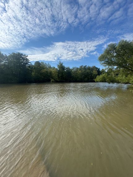 Timberland Property for sale in Craighead County, Arkansas