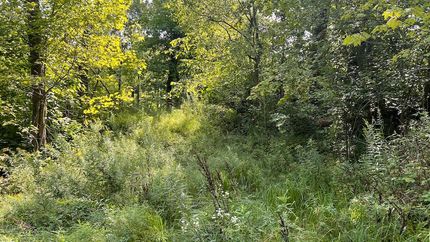 Property for sale in Trumbull County, Ohio