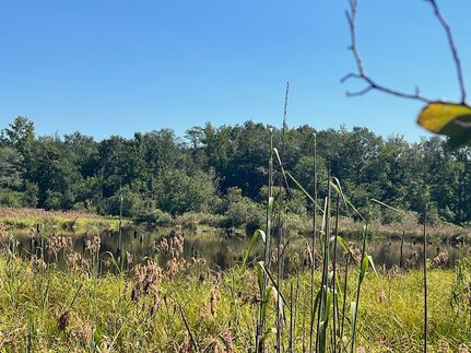 Hunting Land for sale in Glascock County, Georgia