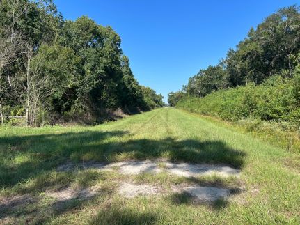 Timberland Property for sale in Liberty County, Texas
