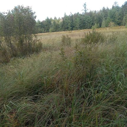 Undeveloped Land for sale in Fulton County, New York