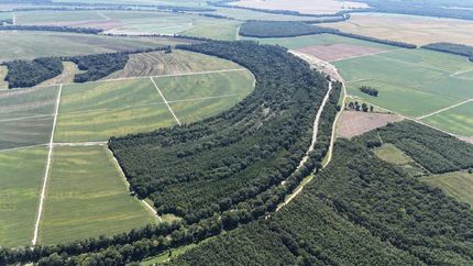 Timberland Property for sale in Holmes County, Mississippi