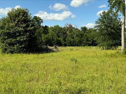 Timberland Property for sale in Morris County, Texas