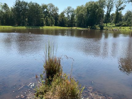 Farm Property for sale in Pike County, Alabama