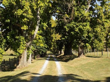 Property for sale in Fleming County, Kentucky