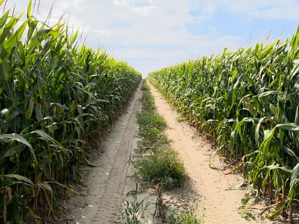 Property for sale in Wheeler County, Nebraska