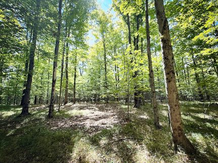 Undeveloped Land for sale in Tioga County, New York