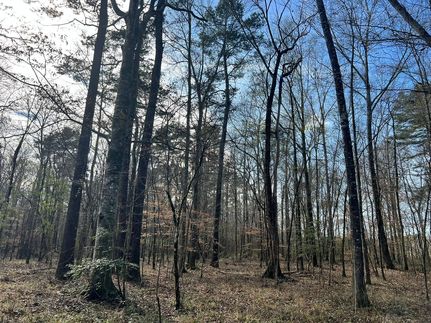 Recreational Property for sale in Scott County, Mississippi