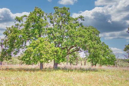 Recreational Property for sale in Gillespie County, Texas