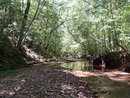 Residential Property for sale in Heard County, Georgia