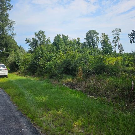 Timberland Property for sale in Sumter County, South Carolina