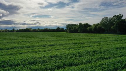 Farm Property for sale in Merced County, California