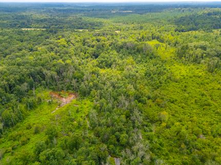 Ranch Property for sale in Harrison County, Texas