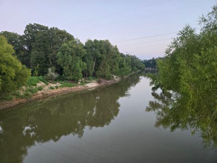 Hunting Land for sale in Panola County, Texas