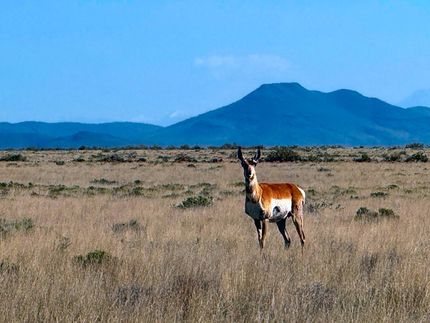 Property for sale in Costilla County, Colorado