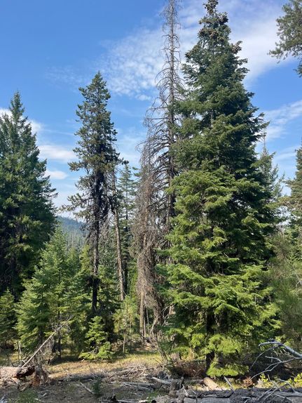 Property in Grant County, Oregon