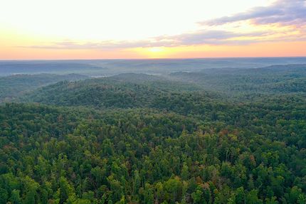 Property for sale in Wayne County, Missouri