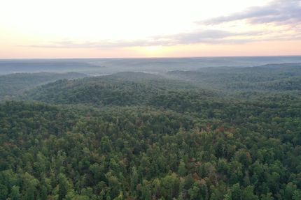 Property for sale in Wayne County, Missouri