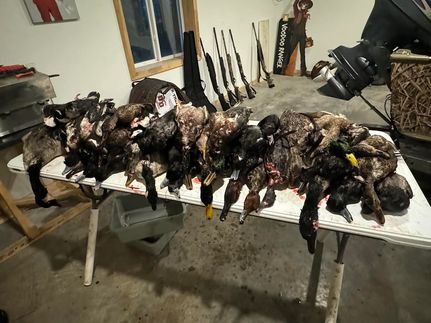 Lakefront Property for sale in Nelson County, North Dakota